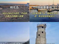 -日照海滨国家森林公园