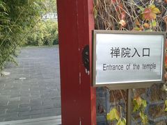 -紫竹院公园冰场