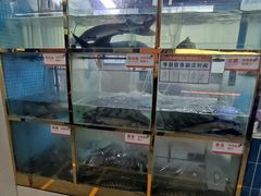 -棒棒鱼活鱼火锅(防洪渠店)