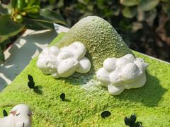 -CAKE BOSS 蛋糕老板(西单君太百货店)