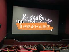 -华谊兄弟影院(IMAX洋桥店)