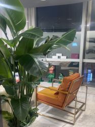 -洁铭新加坡医美