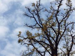 -金堂县云顶石城风景区