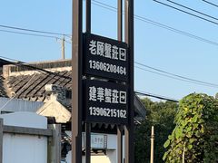 -莲花岛景区