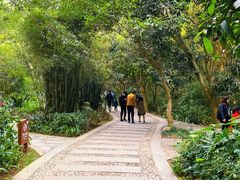 -高榜山景区