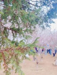 -盘子女人坊古装写真摄影(天津总店)