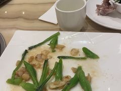 -锦粤宫·精致粤菜(深圳北站店)