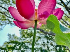 -云溪植物园