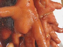 鲍汁凤爪-蔡澜点心·粤菜(西单大悦城店)