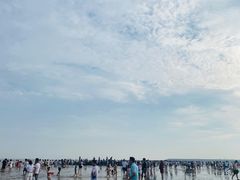 -奉贤海滩