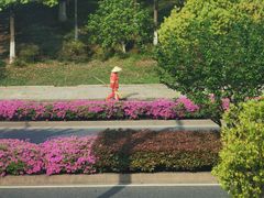 -临平公园(临平街道)