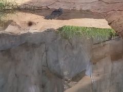 -武汉动物园