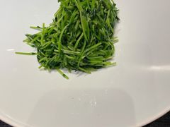 酒香豆苗-RIVIERA 松鹤楼(外滩店)