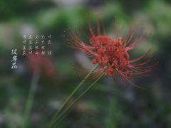 -白塘生态植物园