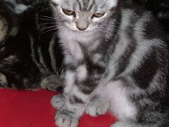 -方中山胡辣汤(通州店)