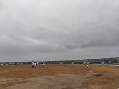 -盐城丹顶鹤湿地生态旅游区