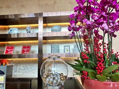 -万豪金殿(香港JW万豪酒店)