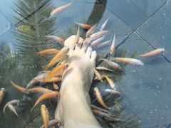 -三亚海棠湾南田温泉神龙谷