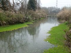 -桤木河湿地公园