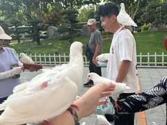 -唐山宴百姓府邸院落中餐