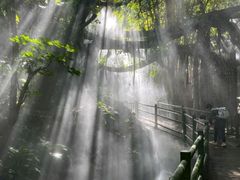 -青青世界