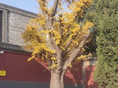 -西安市广仁寺