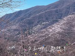 -香山公园