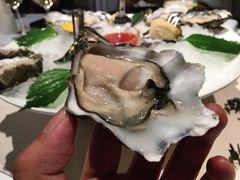 -Oyster Talks 四度蚝法餐厅