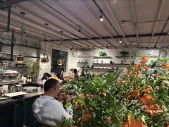 -Apollo·西班牙小酒馆(安福路店)