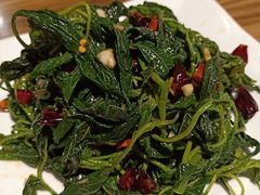 凉拌天麻叶-九头鹰家宴(岳家嘴店)
