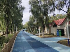 -青龙湖公园