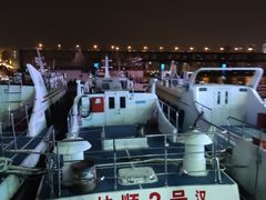 -武汉关码头(轮渡站)