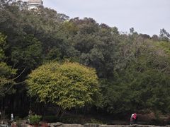 -榴花公园