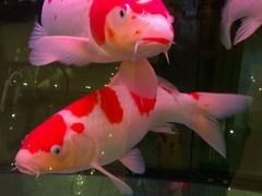 -亿尾水席(奥体中心店)