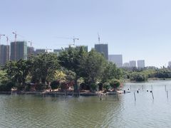 -五缘湾湿地公园