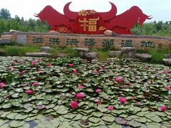 -泗洪洪泽湖湿地景区