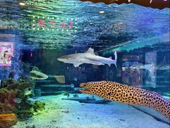 -凯德广场(学府店)