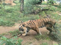 -昆明动物园