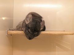 -龙猫仔乐园(惠福东路店)