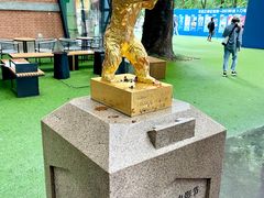 -西安电影制片厂