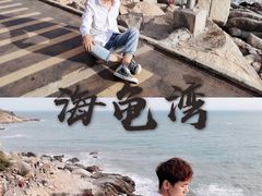 -广东惠东海龟国家级自然保护区