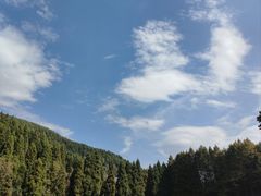 -武陵山森林公园