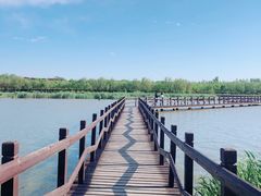 -西青郊野公园