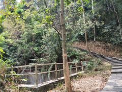 -火炉山森林公园