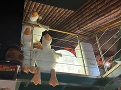 -后院儿·精酿·塔罗Happy Bar
