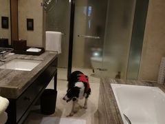 -上海崇明金茂凯悦酒店