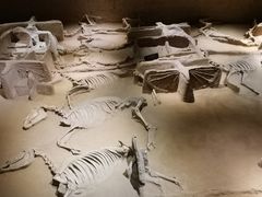 -洛阳周王城天子驾六博物馆