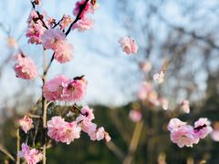 -北京鹫峰国家森林公园