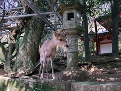 -和萌牛肠烧烤(财富中心店)
