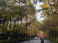 -杭州植物园